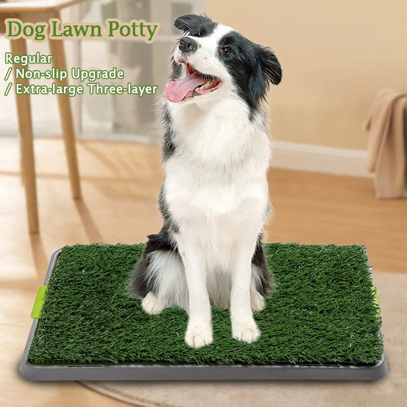 https://ae01.alicdn.com/kf/Sb1ad450ff1e74106b7c70d0654e87da9J/Pet-Dog-Toilet-Artificial-Grass-Dog-Potty-Splashproof-Washable-Reusable-Pee-Pads-Dog-Training-Toilet-Puppy.jpg
